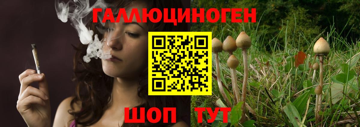 Псилоцибиновые грибы Cubensis  Псилоцибиновые грибы мухоморы  Липецк  Вход с VPN 